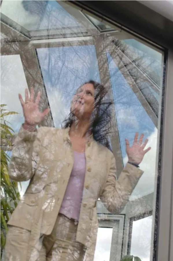 Richtig erfreuen kann man sich an einem Wintergarten nur, wenn er dauerhaft gepflegt und gewartet wird.