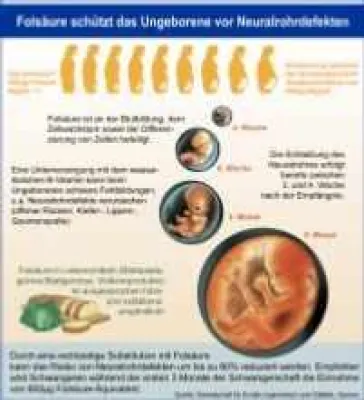 Folsäure - Mehr Aufklärung tut Not Bild: Folsäure - Mehr Aufklärung tut Not