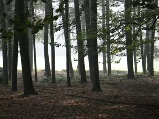 Bild: Naturpark Hohe Mark: Wanderkarten Fehlanzeige