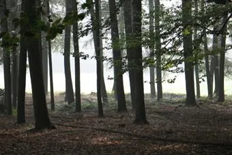 Bild: Naturpark Hohe Mark: Wanderkarten Fehlanzeige