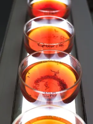 Bild: Antioxidative Wirkung von Rooibos bestätigt