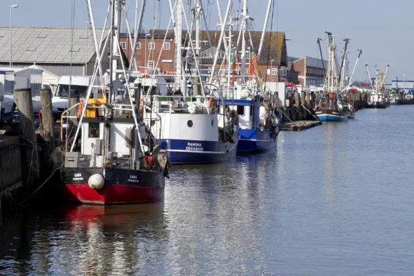 Bild: Cuxhaven zu Fuß: Elf Entdeckertouren durch das Nordseeheilbad