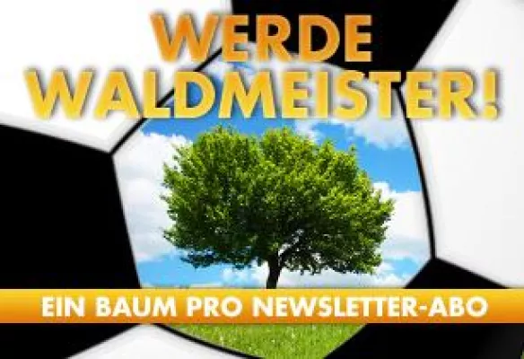Bild: "Werde Waldmeister" - Klimaschutz leicht gemacht