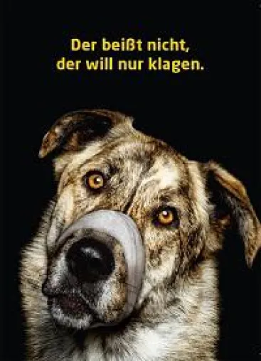 Bild: Verbandsklagerecht im Tierschutz – jetzt