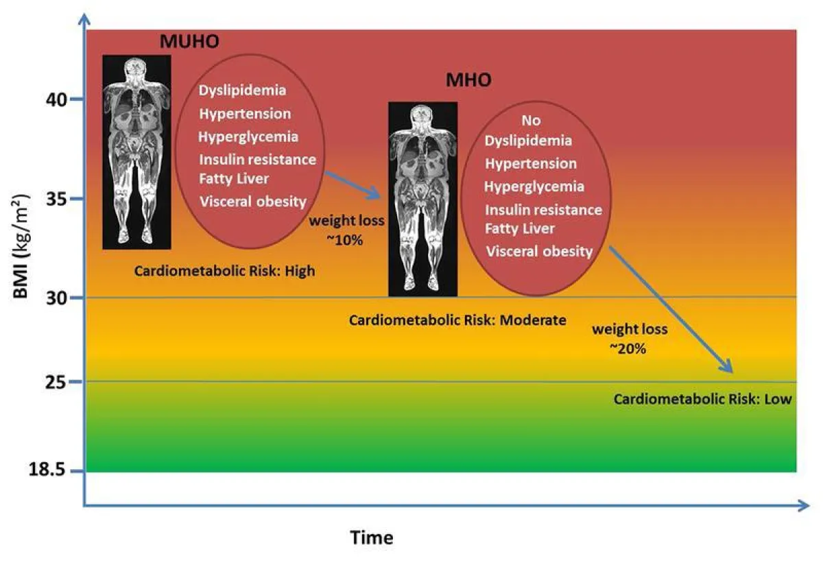 In comparison to people with metabolically abnormal obesity those with metabolically healthy obesity have 25% increased cardiometabolic risk compared to people with normal weight.  (Source: DZD/IDM)