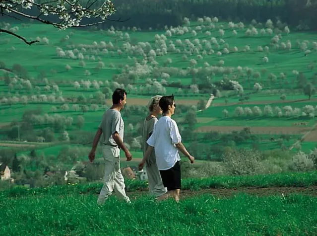 Bild: Frühlingserwachen im Markgräflerland