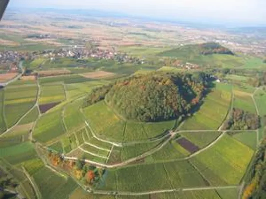 Wandern von Weinkeller zu Weinkeller. Auf der ÖkoRegio-Tour im Markgräflerland. Bild: Wandern von Weinkeller zu Weinkeller. Auf der ÖkoRegio-Tour im Markgräflerland.