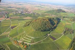 Bild: Wandern von Weinkeller zu Weinkeller. Auf der ÖkoRegio-Tour im Markgräflerland.