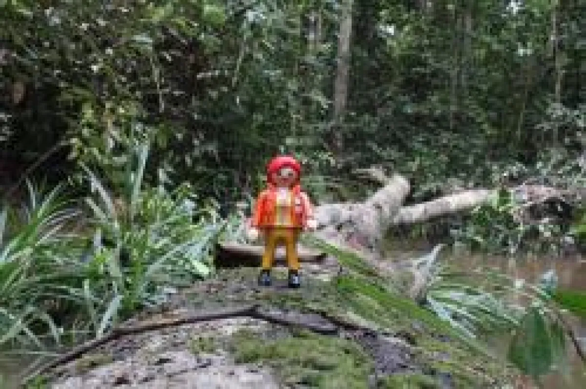 Kooperation Playmobil und WWF