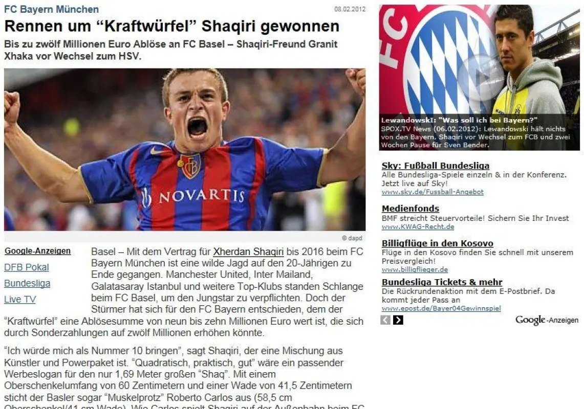 Der Newsburger - Ansicht eines Artikels