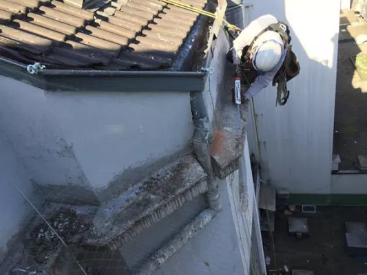 Bild: Taubenabwehr in Hamburg – wie sich Stadt und Bewohner schützen