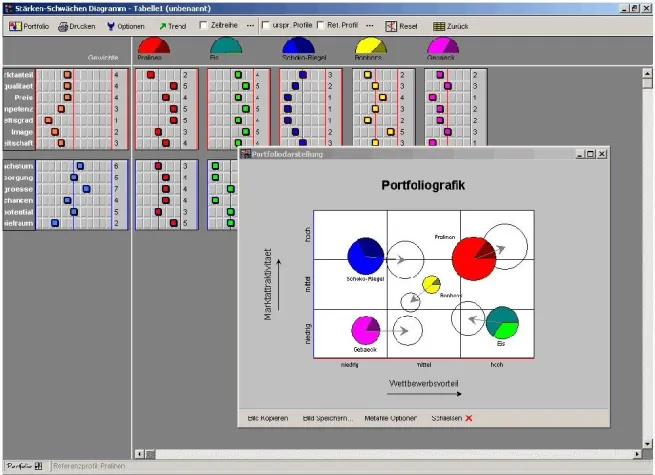 Bild: Portfolio-Analyse-Software für strategisches Management