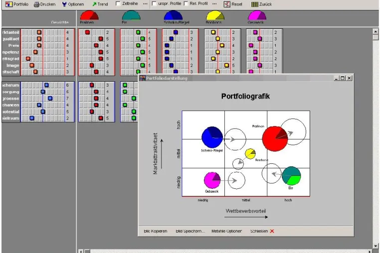 Bild: Portfolio-Analyse-Software für strategisches Management