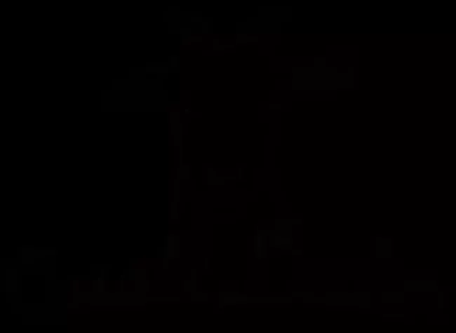 Bild: Preiserhöhung von Kunden unterstützt