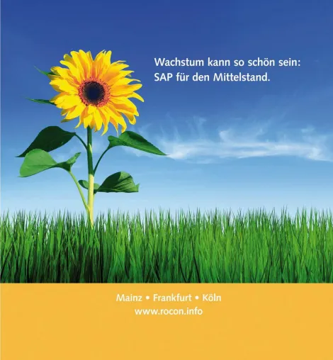 Bild: Wachstum kann so schön sein - SAP Business One auf der b2d Messe in Köln