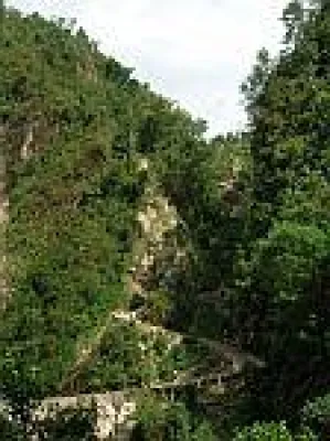 Bild: Rainforest Alliance Certified™ macht gute Nachbarschaft zur Pflicht