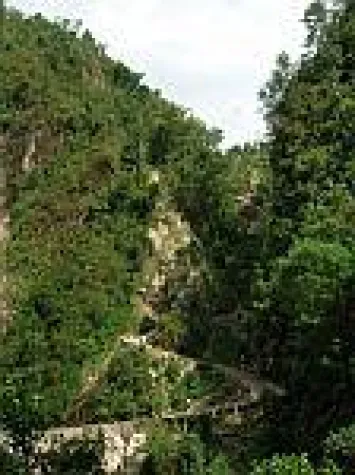 Bild: Rainforest Alliance Certified™ macht gute Nachbarschaft zur Pflicht