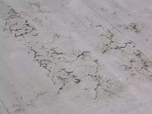 Bild: Rotalgen auf Flachdach - Teil 2 - Dachsanierung