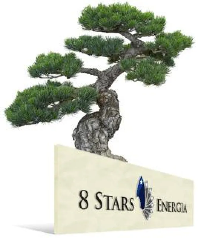 8 Stars Energia Sp. Z O.O