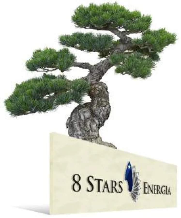 8 Stars Energia Sp. Z O.O