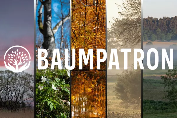 Bild: Initiative Baumpatron: Größtes Waldpatenschaftsprojekt der Republik kommt aus Oberbayern
