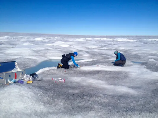 Bild: Woher kommt die Nahrung für Algen auf dem grönländischen Eis? 