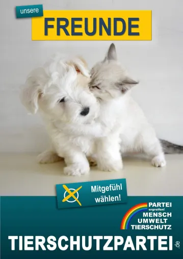 Bild: 100.000 Unterschriften – Tierschutzpartei übergibt Petition für Strassentiere in Brüssel