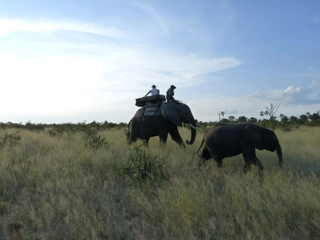 Elefantenritt im Abu Camp Botswana
