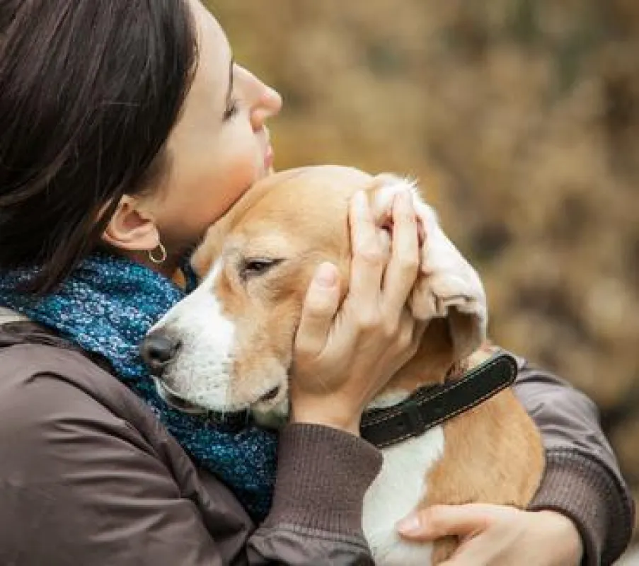 © Soloviova Liudmyla - fotolia.com