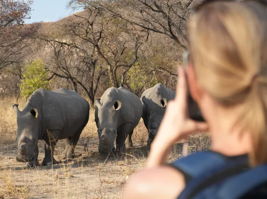 Bild: Neuer Reisepodcast „Safari Genuss“ – Von der Savanne bis ans Meer