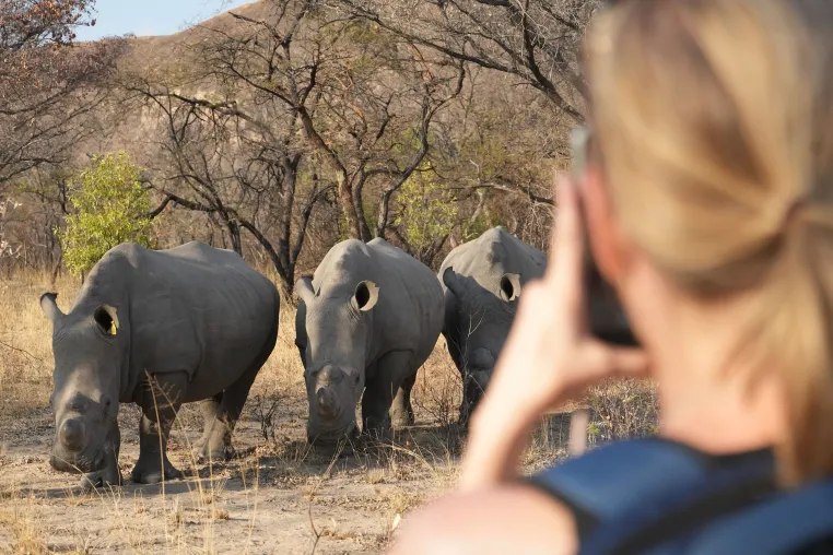 Neuer Reisepodcast „Safari Genuss“ – Von der Savanne bis ans Meer Bild: Neuer Reisepodcast „Safari Genuss“ – Von der Savanne bis ans Meer