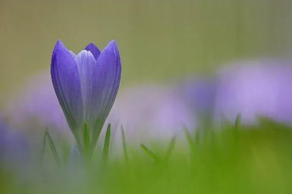 Bild: Fotoworkshop Digitale Makrofotografie