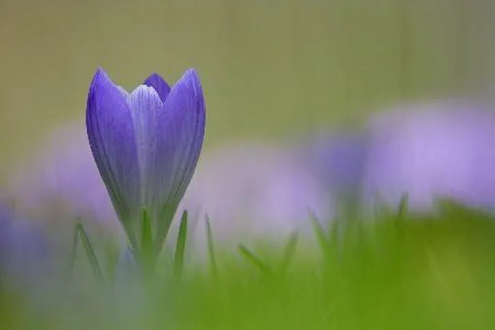 Bild: Fotoworkshop Digitale Makrofotografie