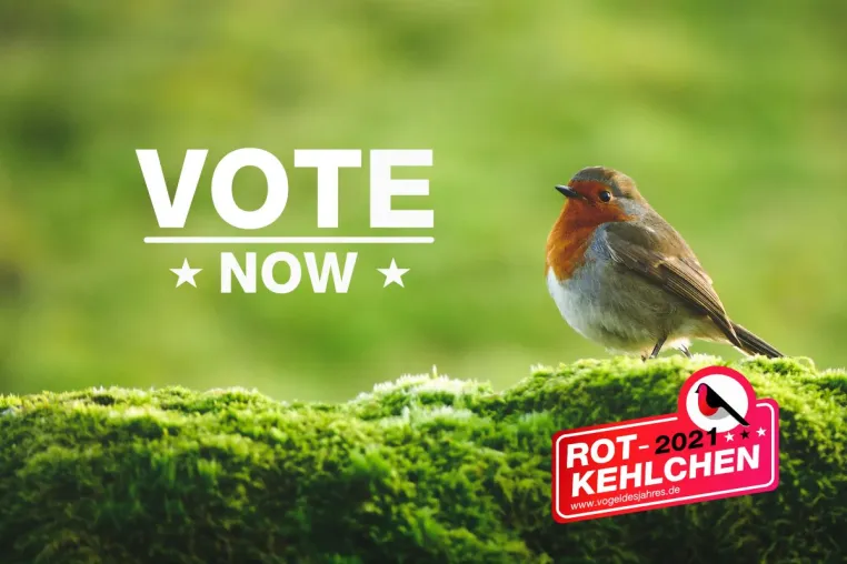 ROBIN Consulting kapert Nabu-Kampagne zum „Vogel des Jahres“ Bild: ROBIN Consulting kapert Nabu-Kampagne zum „Vogel des Jahres“