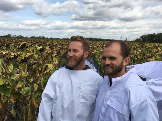 Bild: Durch PROJEKT 2028 gibt es 3,5 Millionen Bienen mehr