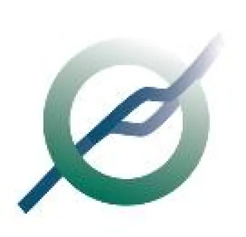 Bild: In Mannheim entsteht eine Ölquelle