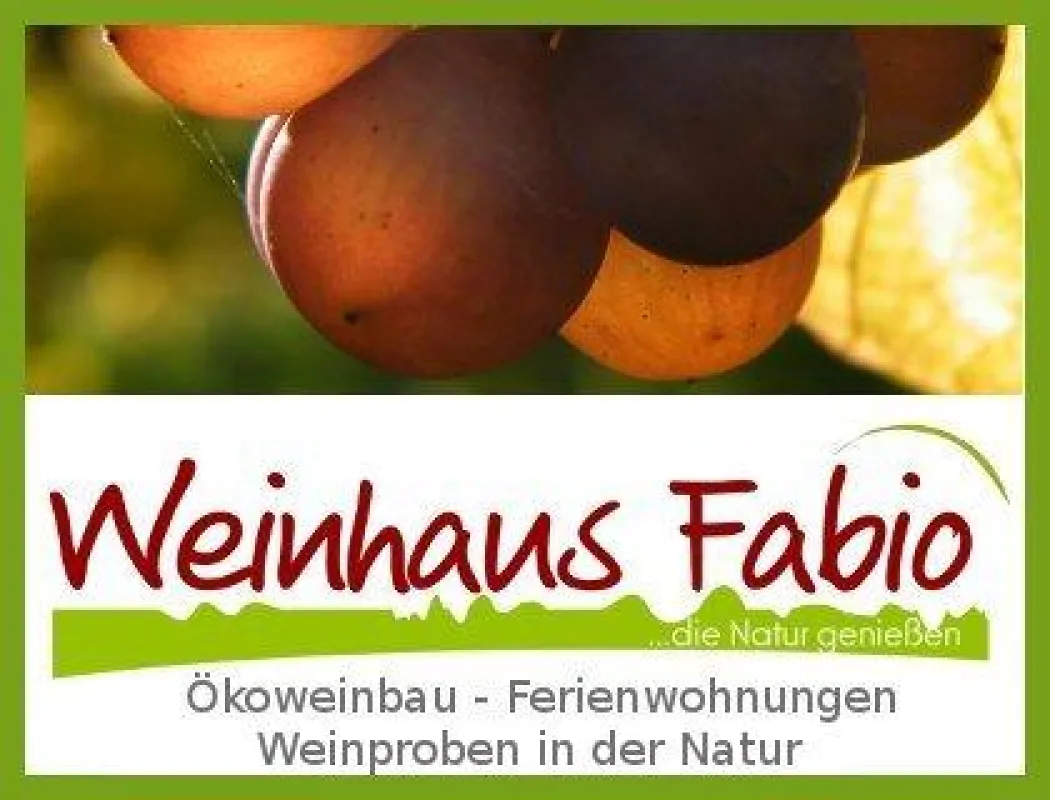 Biowein und Ökowein (Weinhaus Fabio)