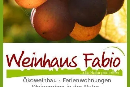 Frühlingsauftakt mit Biowein: Genussvolle Weinprobe in der Pfalz erleben Bild: Frühlingsauftakt mit Biowein: Genussvolle Weinprobe in der Pfalz erleben