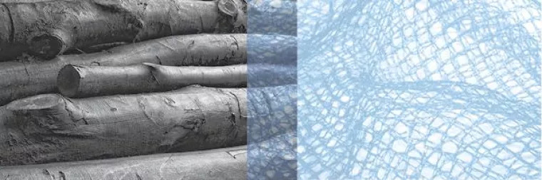 Podiumsdiskussion: Nachwachsende (heimische) Rohstoffe – Perspektiven und Grenzen Bild: Podiumsdiskussion: Nachwachsende (heimische) Rohstoffe – Perspektiven und Grenzen