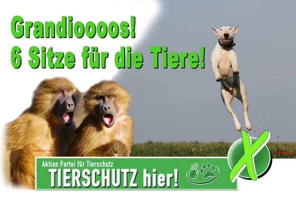 Bild: 6 Sitze - Grandioser Erfolg für die Tiere