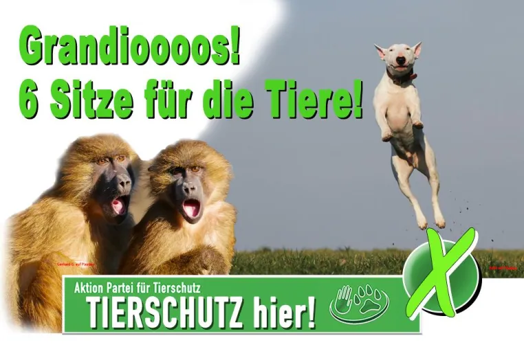 Bild: 6 Sitze - Grandioser Erfolg für die Tiere