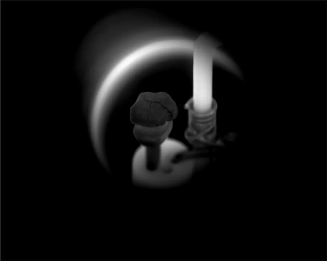 Kohlepartikel während des Vergasungsprozesses. ((Foto: Felix Küster/TU Bergakademie Freiberg))