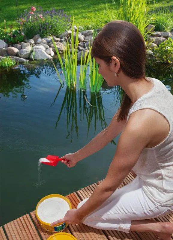 Richtige Pflege für klares Wasser, gesunde Fische und prächtige Pflanzen im Gartenteich. Foto: sera