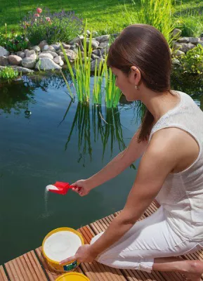 Bild: Alles klar im Gartenteich