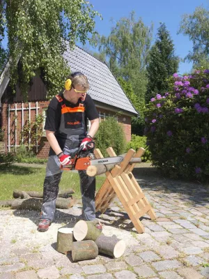 Bild: Benzin-Motorsäge für Haus, Hof und Garten