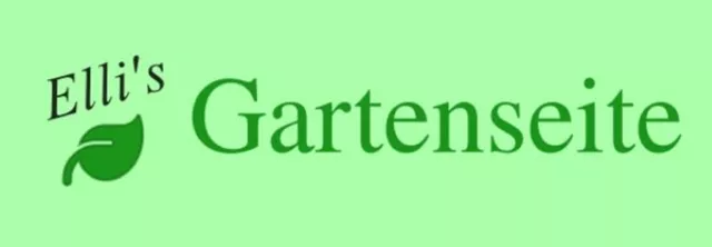 Bild: Ellis Garten: Eine Neue Oase für Gartenfreunde im Netz