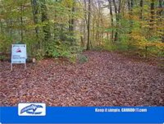 Carboo4U beim 9. Röntgenlauf an diesem Wochenende in Remscheid vor Ort Bild: Carboo4U beim 9. Röntgenlauf an diesem Wochenende in Remscheid vor Ort