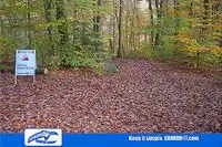 Carboo4U beim 9. Röntgenlauf an diesem Wochenende in Remscheid vor Ort Bild: Carboo4U beim 9. Röntgenlauf an diesem Wochenende in Remscheid vor Ort