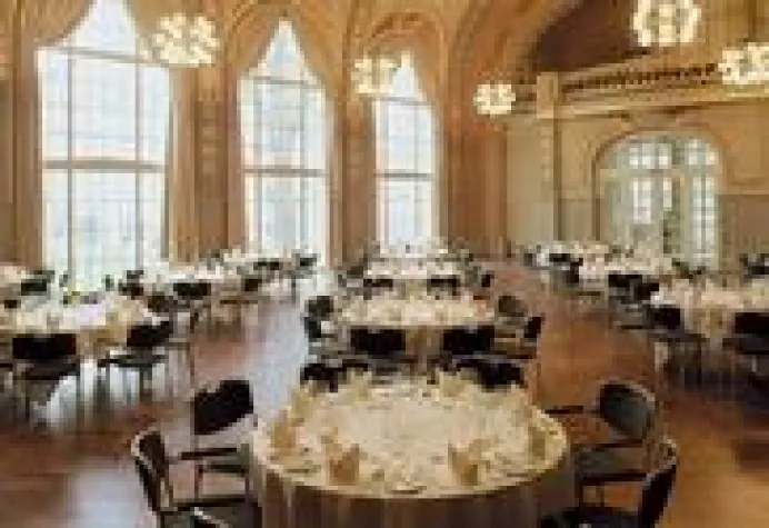 Bild: Grüner Kaktus im weihnachtlichen Kursaal