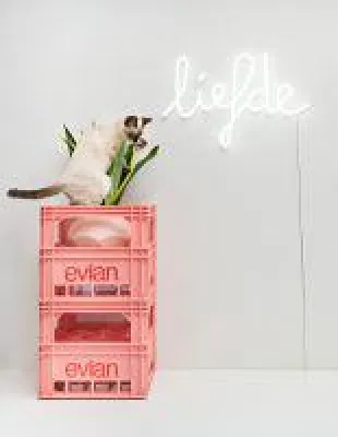 QAZQA lanciert angesagte LED Neonleuchten Bild: QAZQA lanciert angesagte LED Neonleuchten